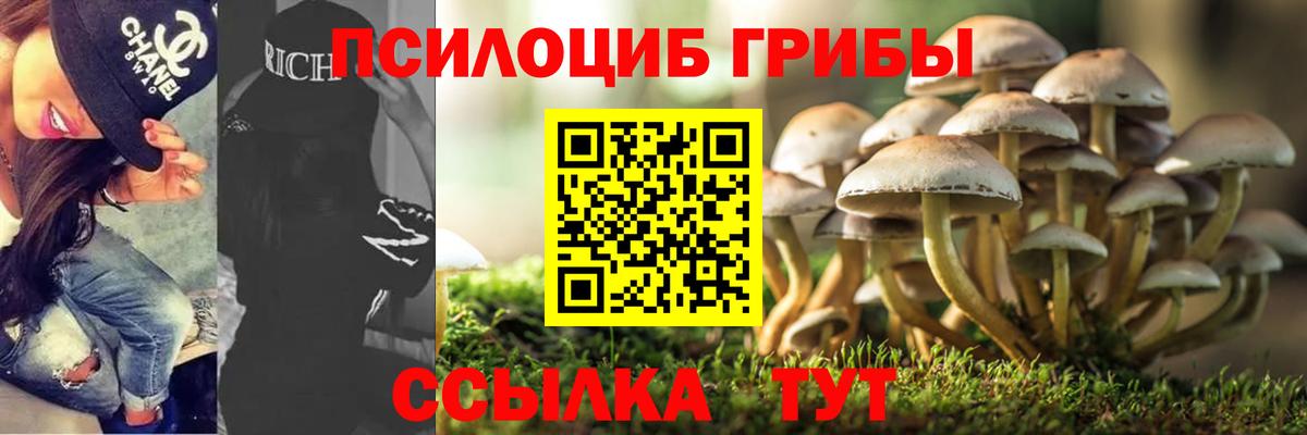 Псилоцибиновые грибы Psilocybine cubensis Сибай