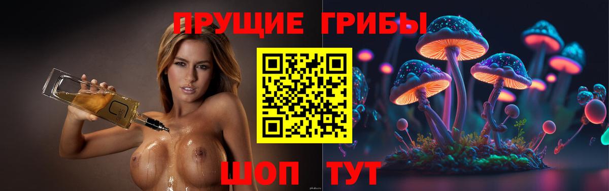 Галлюциногенные грибы Psilocybe  Вход с VPN  Сибай 