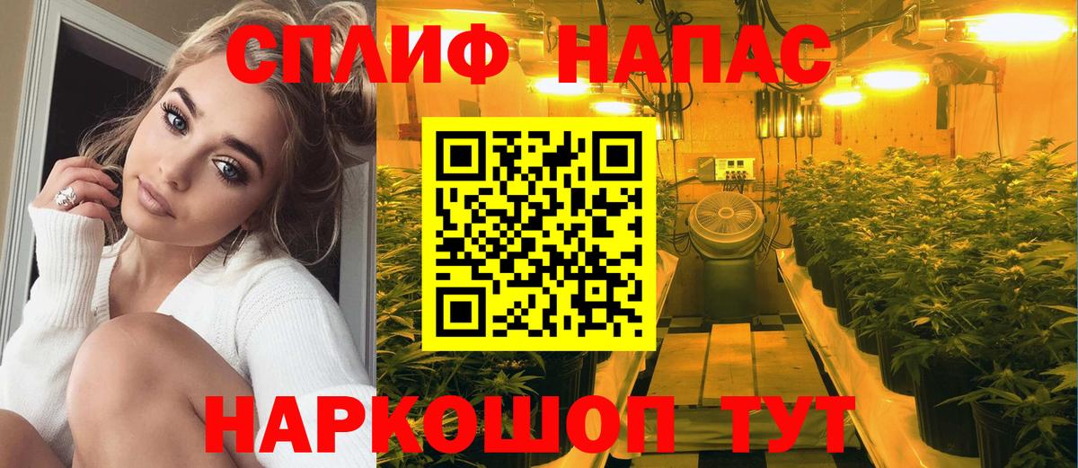 МАРИХУАНА индика  Шишки марихуана марихуана  МАРИХУАНА планчик  Сибай  Вход с VPN  Конопля OG Kush 